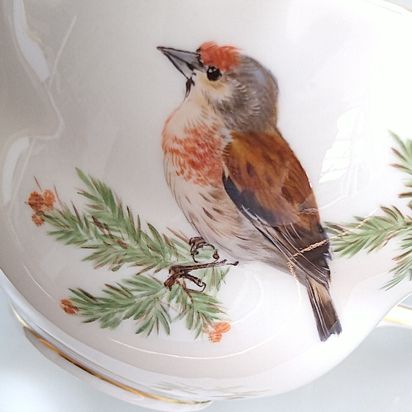 Meissenマイセン1970年頃ドイツの鳥ムネアカヒワのコーヒーカップソーサー