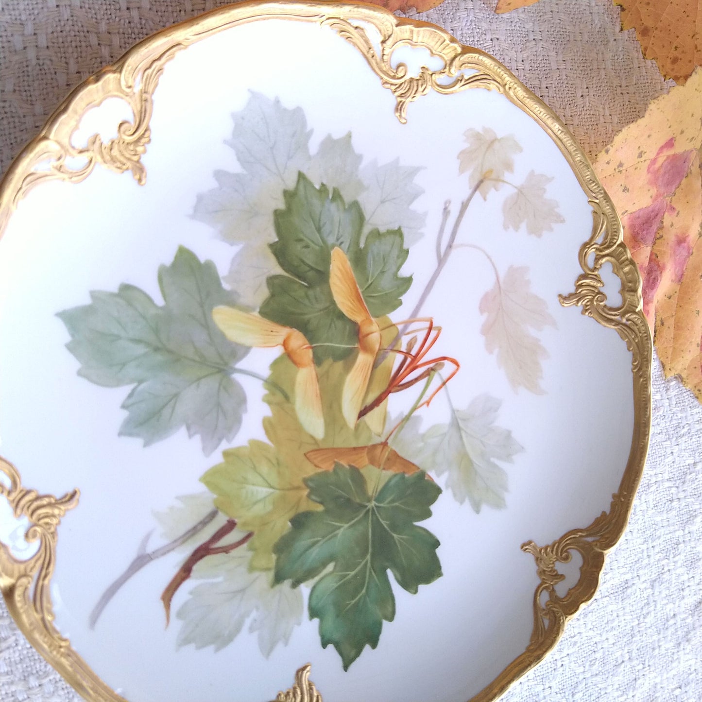 1915年頃KPMロイヤルベルリン"楓"のゴールドファジープレート直径約18.8㎝D/KPM RoyalBerlinPlate "Maple" ca19cmD