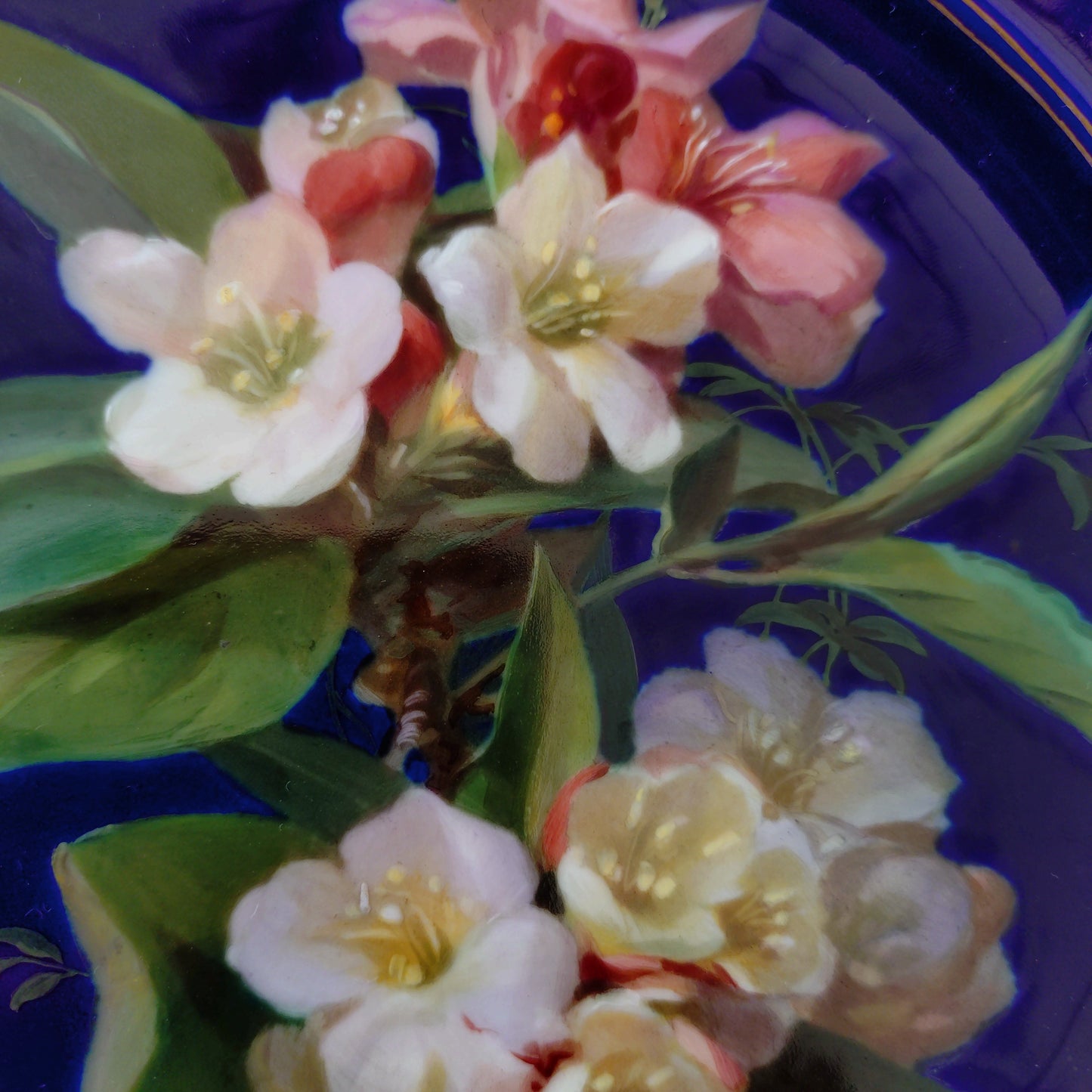 1924年以前Meissenマイセンのキャビネットプレート自然主義様式絵付けウツギの花/コバルト/金彩/直径約23㎝D