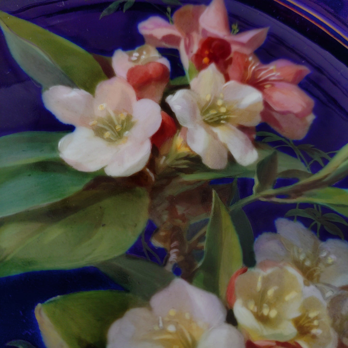 1924年以前Meissenマイセンのキャビネットプレート自然主義様式絵付けウツギの花/コバルト/金彩/直径約23㎝D