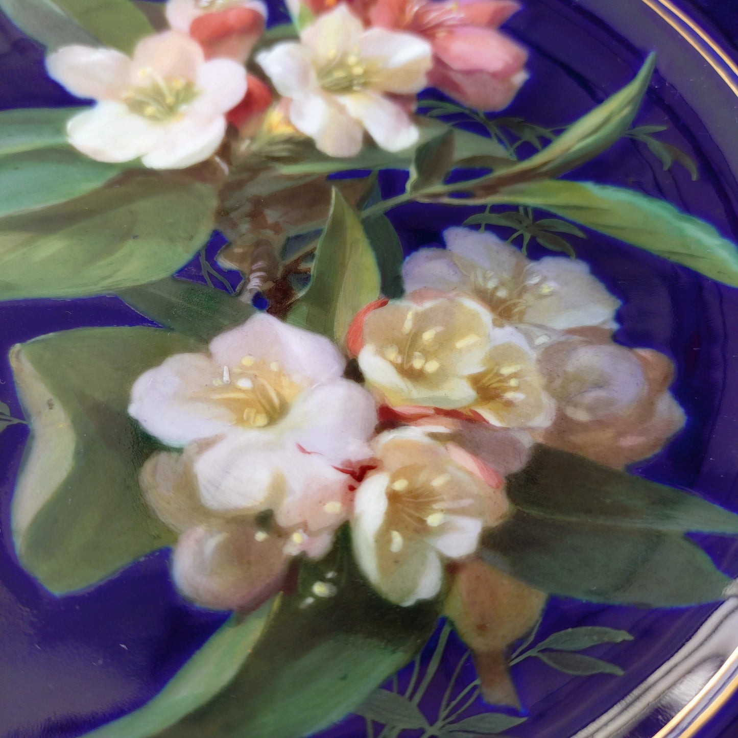 1924年以前Meissenマイセンのキャビネットプレート自然主義様式絵付けウツギの花/コバルト/金彩/直径約23㎝D
