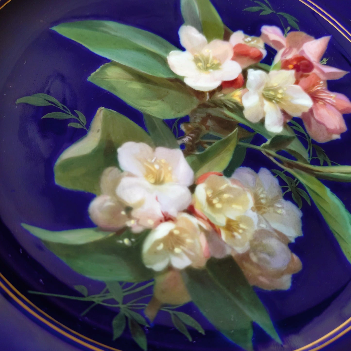 1924年以前Meissenマイセンのキャビネットプレート自然主義様式絵付けウツギの花/コバルト/金彩/直径約23㎝D