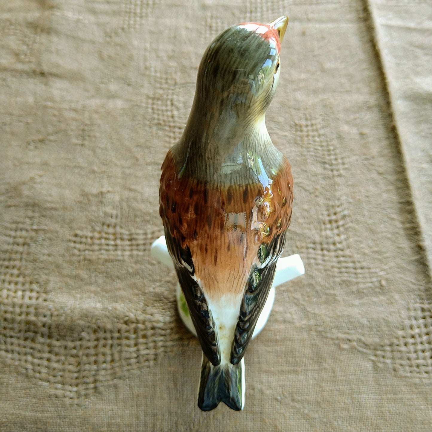 マイセン　ムネアカヒワ