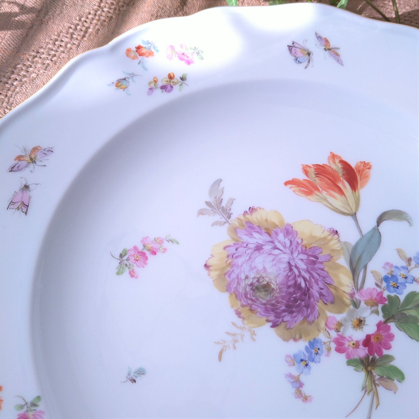1860～1924年Meissen花と昆虫の絵 ディナープレート24㎝D黄色と紫の花/Dinnar  plate