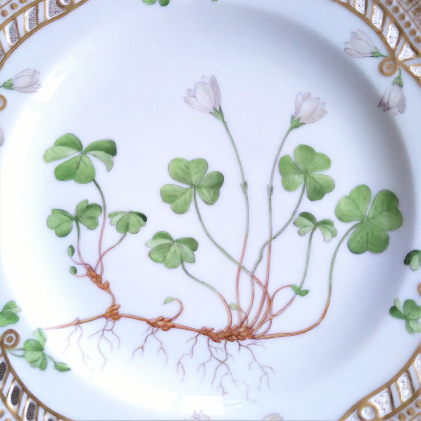 1900年代前半RoyalCopenhagenフローラダニカのレースプレート約22.5㎝/FloraDanicaLacePlate ca22.5cm