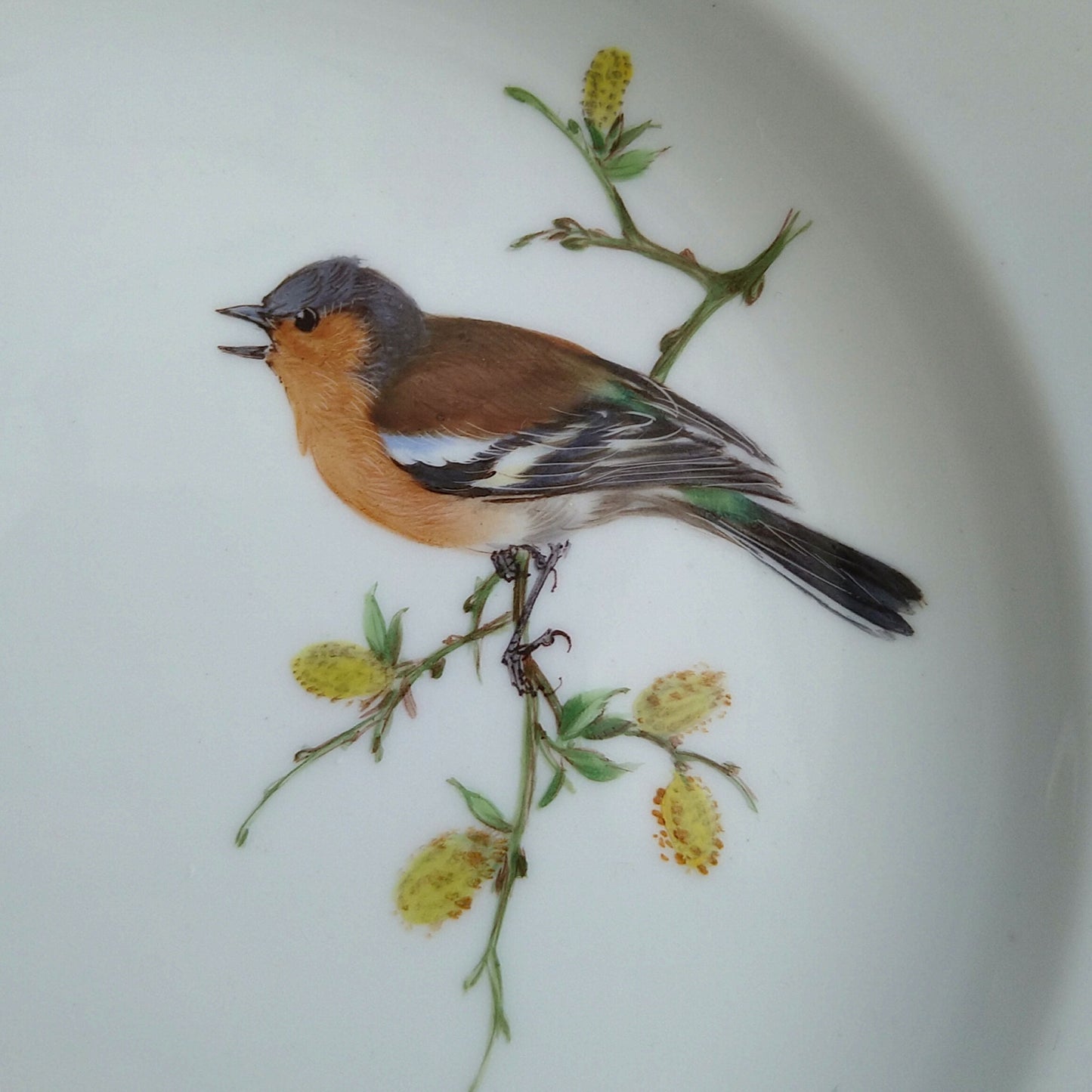 Meissenマイセン1957～1972年のドイツの鳥ズアオアトリのケーキプレート18㎝D