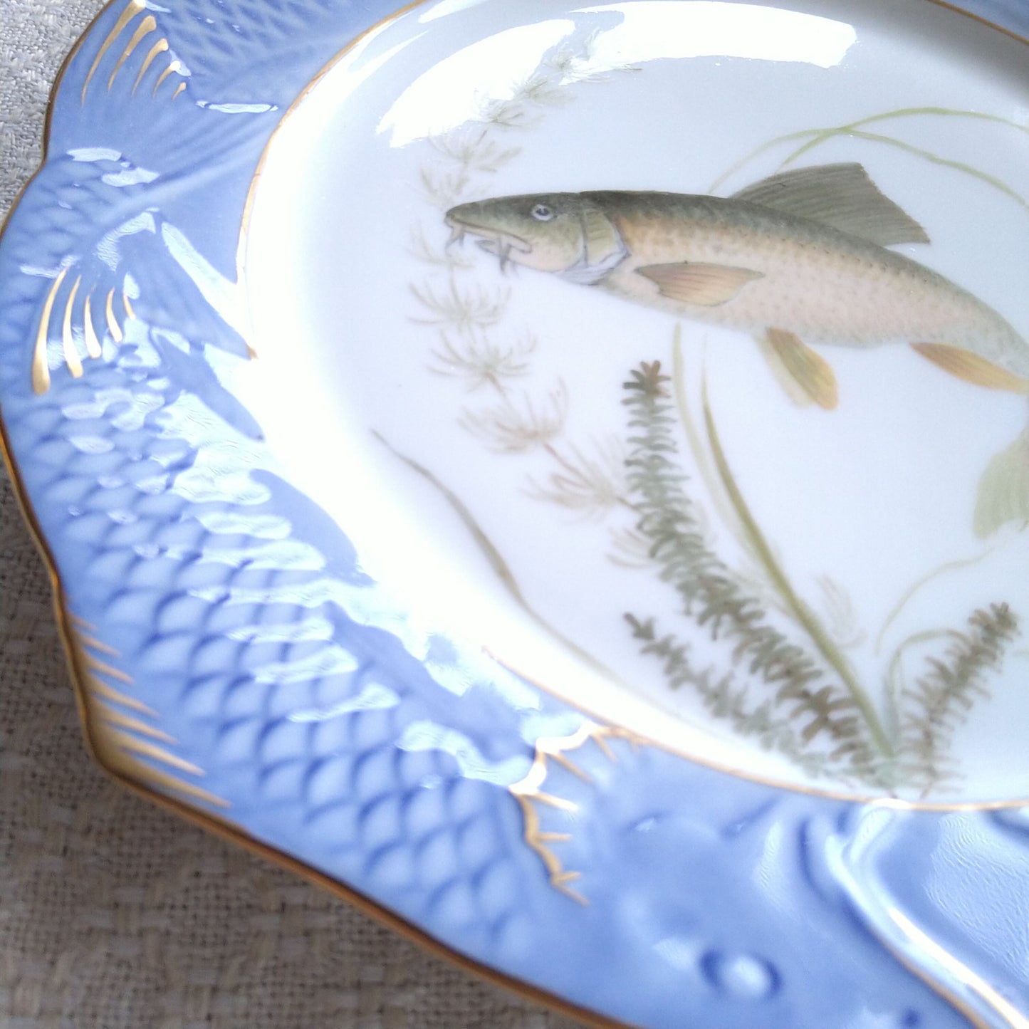 1924～1934年RoyalCopenhagenコイ亜科淡水魚バーベル🐟さかなのお皿は大きさ約22.5㎝L×22.5㎝Wです。