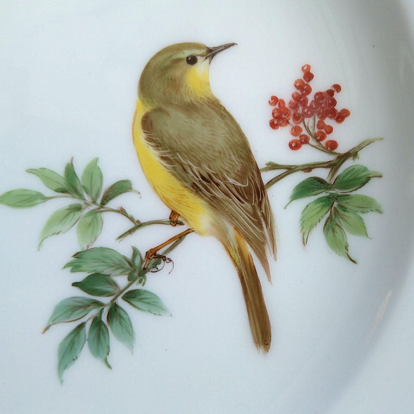 Meissenマイセン1970年以降のドイツの鳥キアオジのケーキプレート18㎝