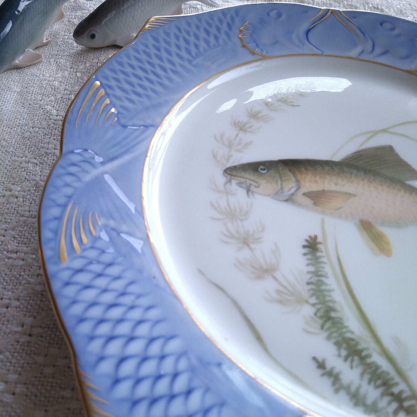 1924～1934年RoyalCopenhagenコイ亜科淡水魚バーベル🐟さかなのお皿は大きさ約22.5㎝L×22.5㎝Wです。