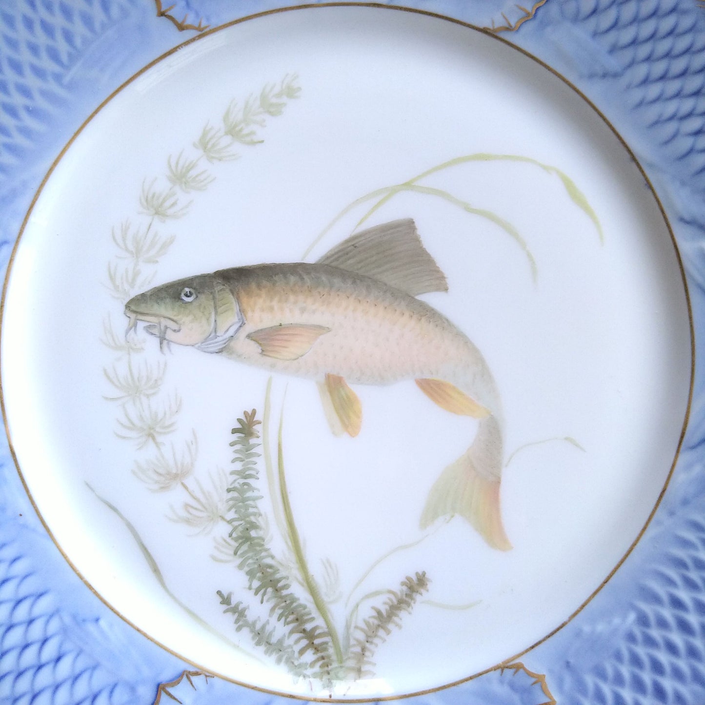 1924～1934年RoyalCopenhagenコイ亜科淡水魚バーベル🐟さかなのお皿は大きさ約22.5㎝L×22.5㎝Wです。