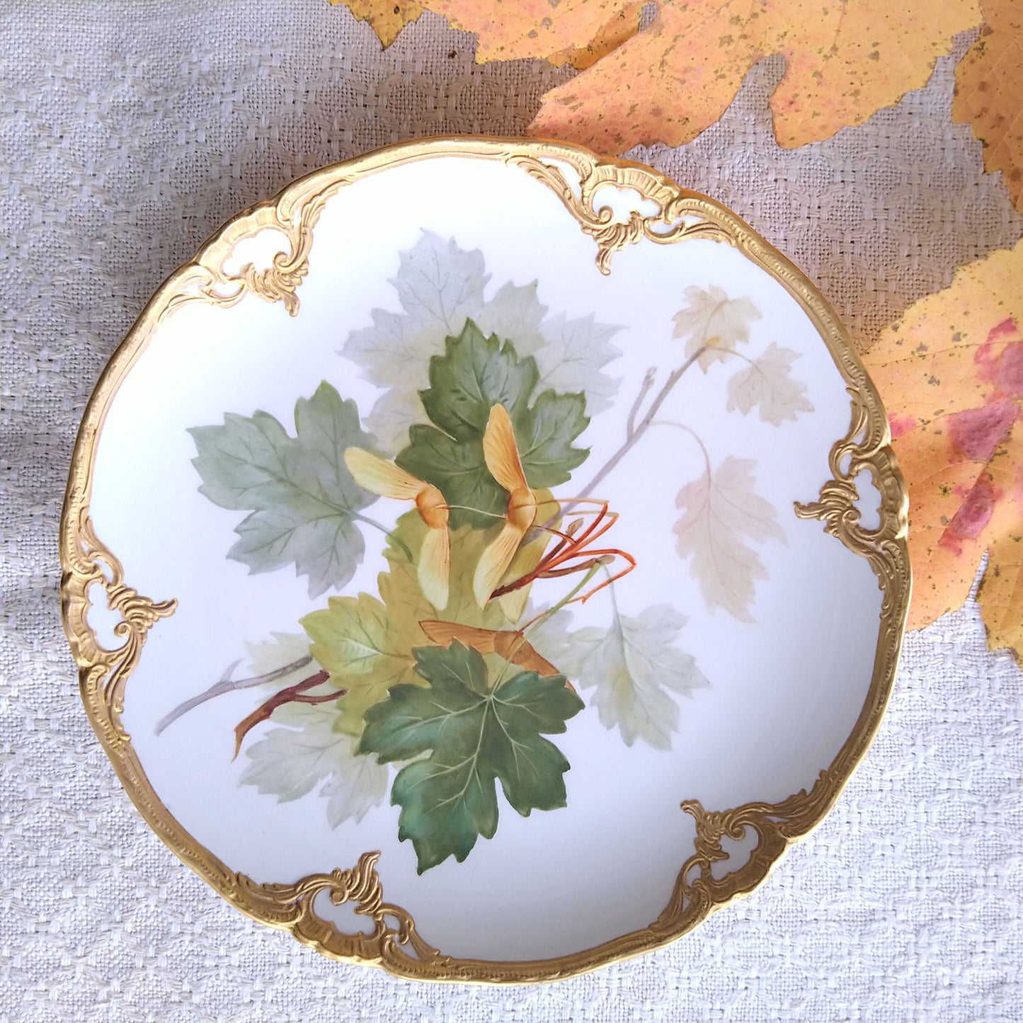 1915年頃KPMロイヤルベルリン"楓"のゴールドファジープレート直径約18.8㎝D/KPM RoyalBerlinPlate "Maple" ca19cmD