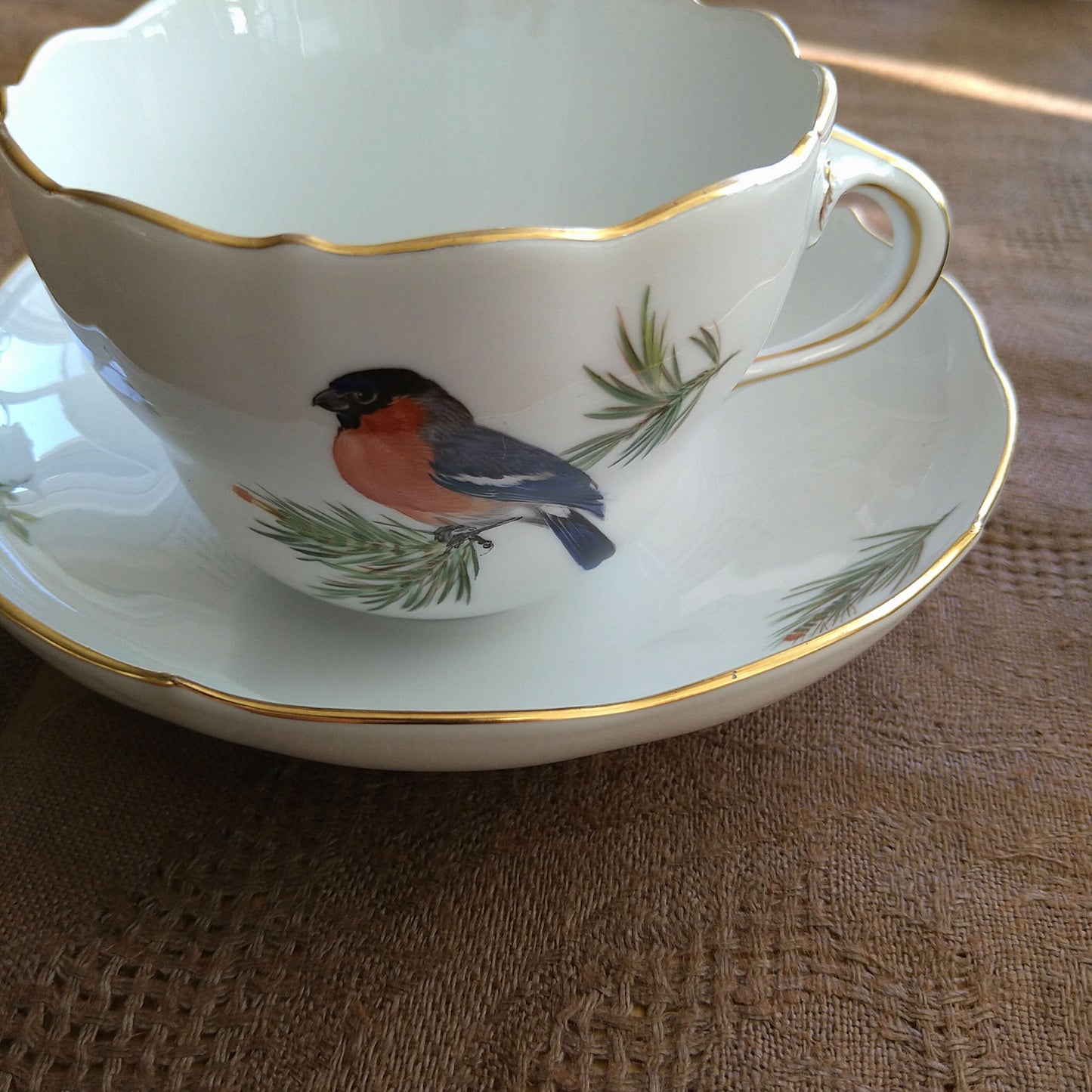 Meissenマイセン1970年頃ドイツの鳥のそんなのウソ！！のコーヒーカップソーサー