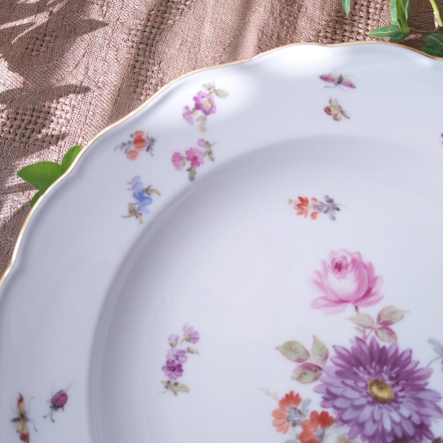 1860～1924年Meissen花と昆虫の絵 ディナープレート24㎝D紫のアスターとピンクのバラ/Dinnar plate