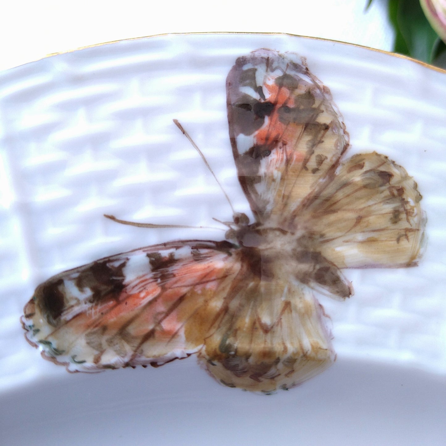 1924年以前Meissenのアザミと蝶🦋自然主義絵付けのお皿は直径約25㎝D/Alt-ozierパターン