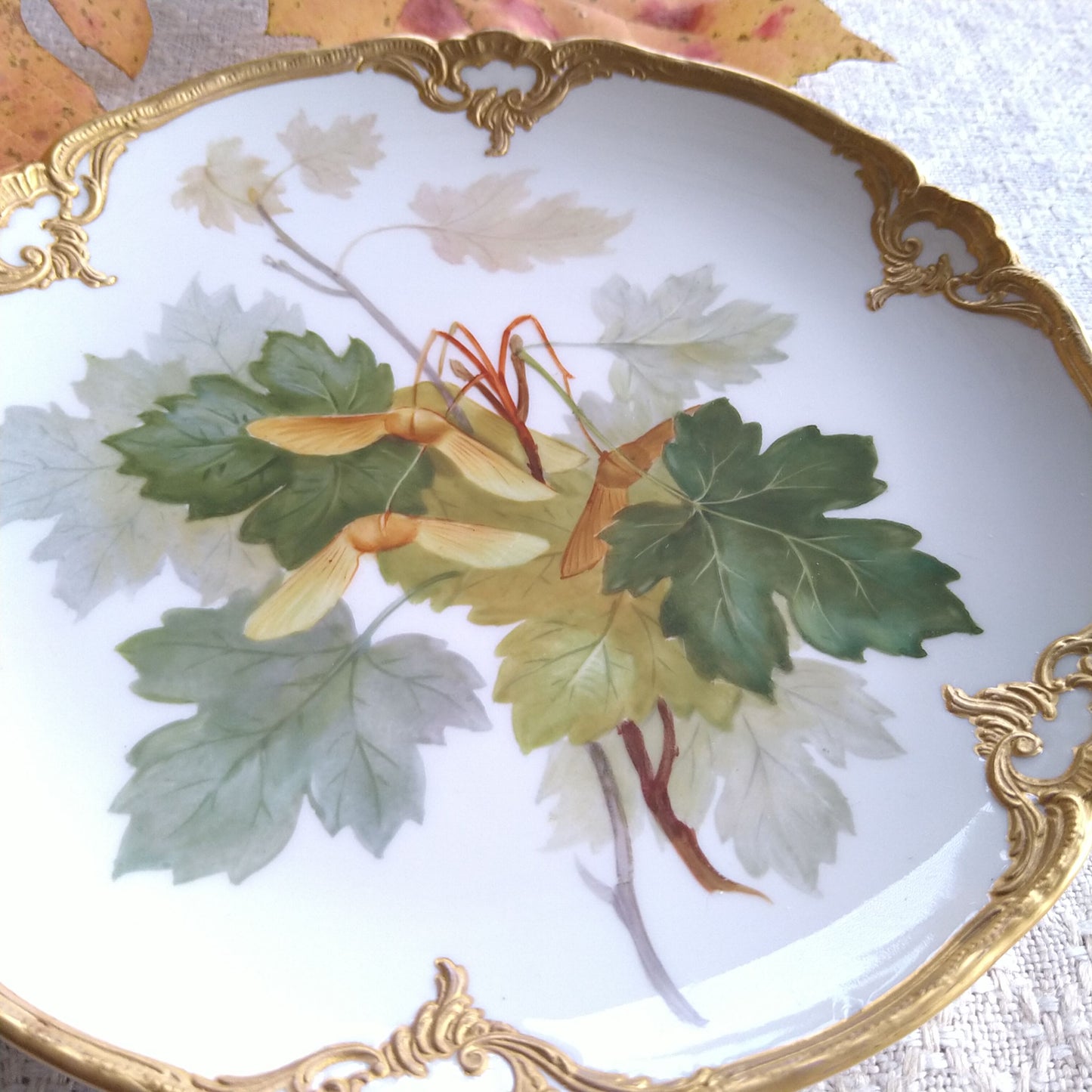 1915年頃KPMロイヤルベルリン"楓"のゴールドファジープレート直径約18.8㎝D/KPM RoyalBerlinPlate "Maple" ca19cmD