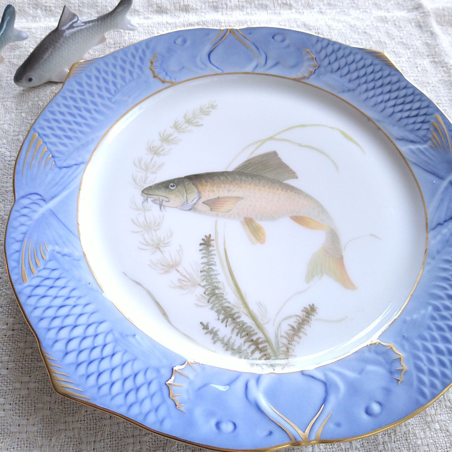 1924～1934年RoyalCopenhagenコイ亜科淡水魚バーベル🐟さかなのお皿は大きさ約22.5㎝L×22.5㎝Wです。