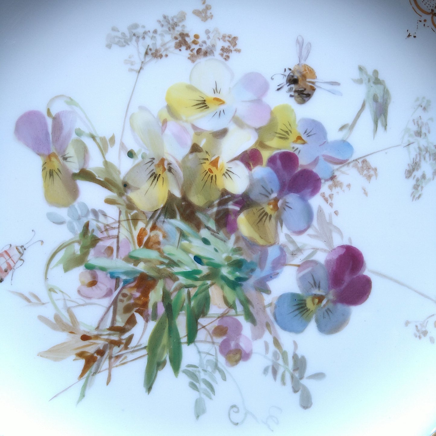 Meissen マイセンコバルトフォンド自然主義絵付け直径約25㎝D三色すみれ/MeissenCobalt FondPlate