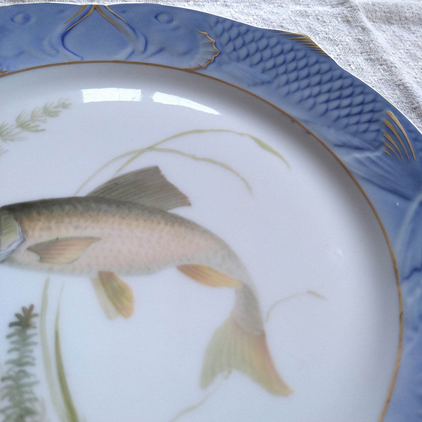 1924～1934年RoyalCopenhagenコイ亜科淡水魚バーベル🐟さかなのお皿は大きさ約22.5㎝L×22.5㎝Wです。