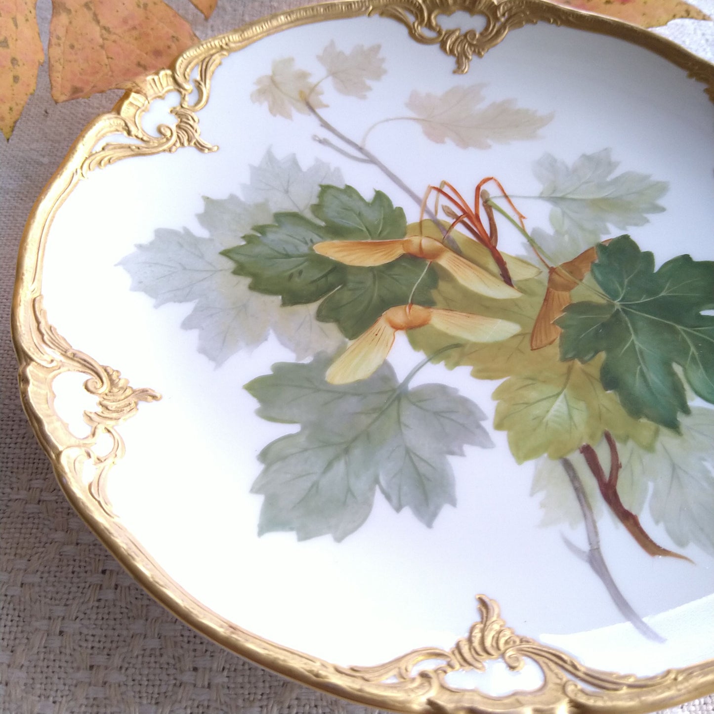 1915年頃KPMロイヤルベルリン"楓"のゴールドファジープレート直径約18.8㎝D/KPM RoyalBerlinPlate "Maple" ca19cmD