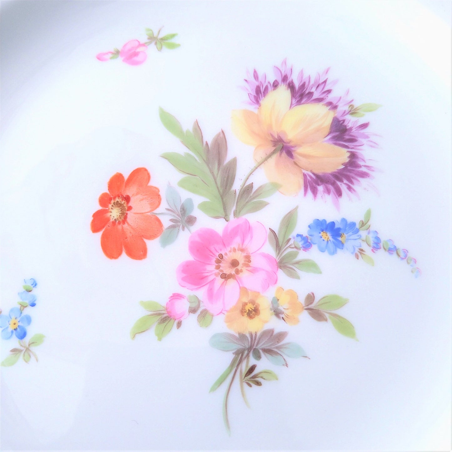 1860～1924年Meissen花と昆虫の絵の前菜皿21㎝D紫のケシと小花/Plate 21cm