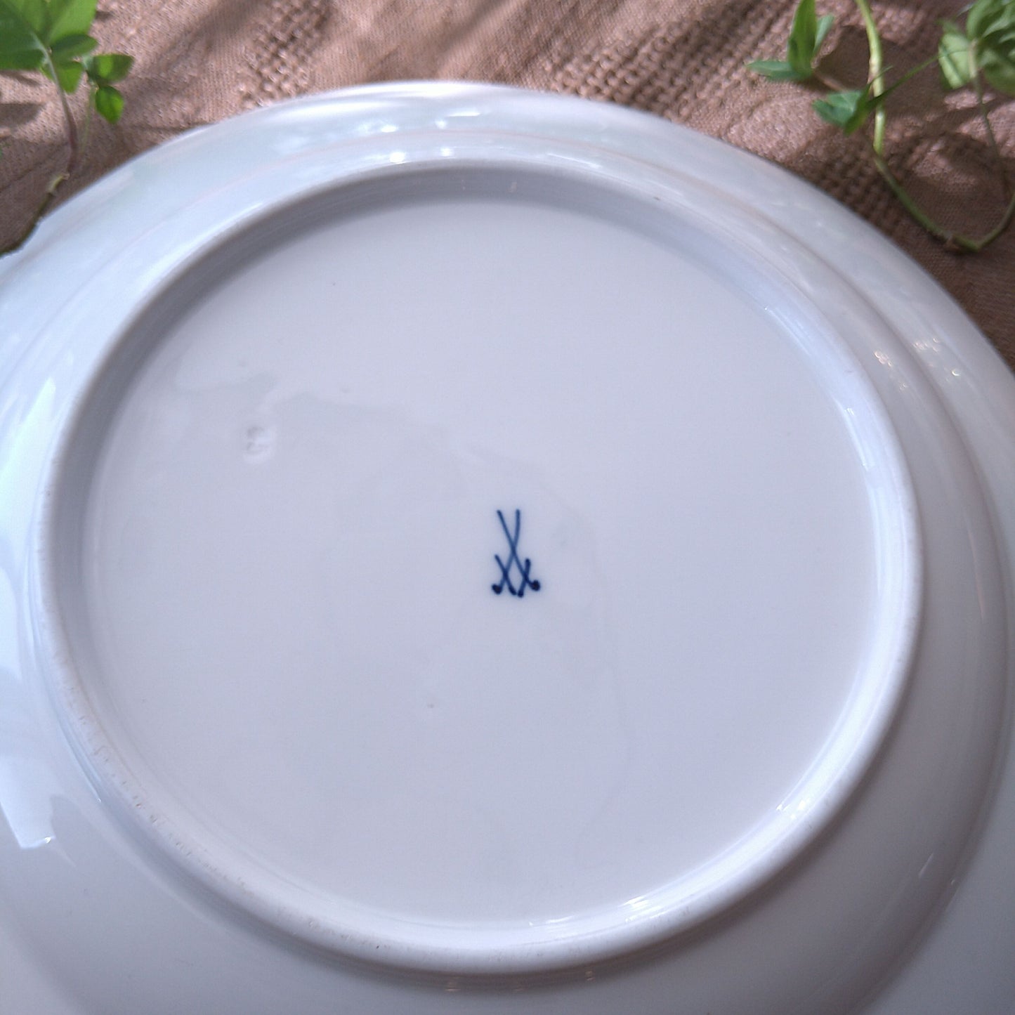 1860～1924年Meissen花と昆虫の絵 ディナープレート24㎝D紫のアスターとピンクのバラ/Dinnar plate
