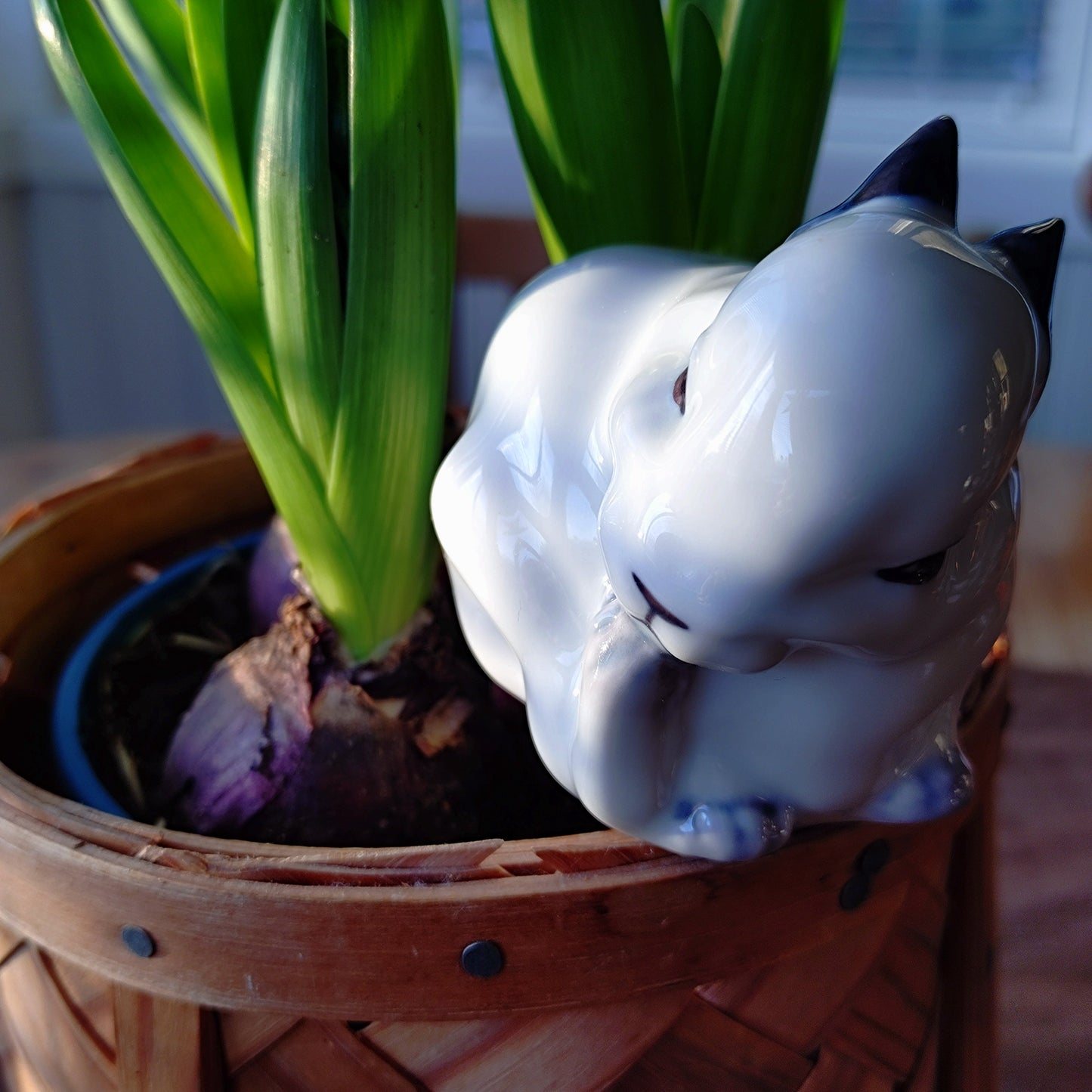 🐰Royal Copenhagen, Young Rabbit, Jeanne Grut design, approximately 7.5 cm (H) in height, model number 251, grooming its hind leg. Fits in the palm of your hand.