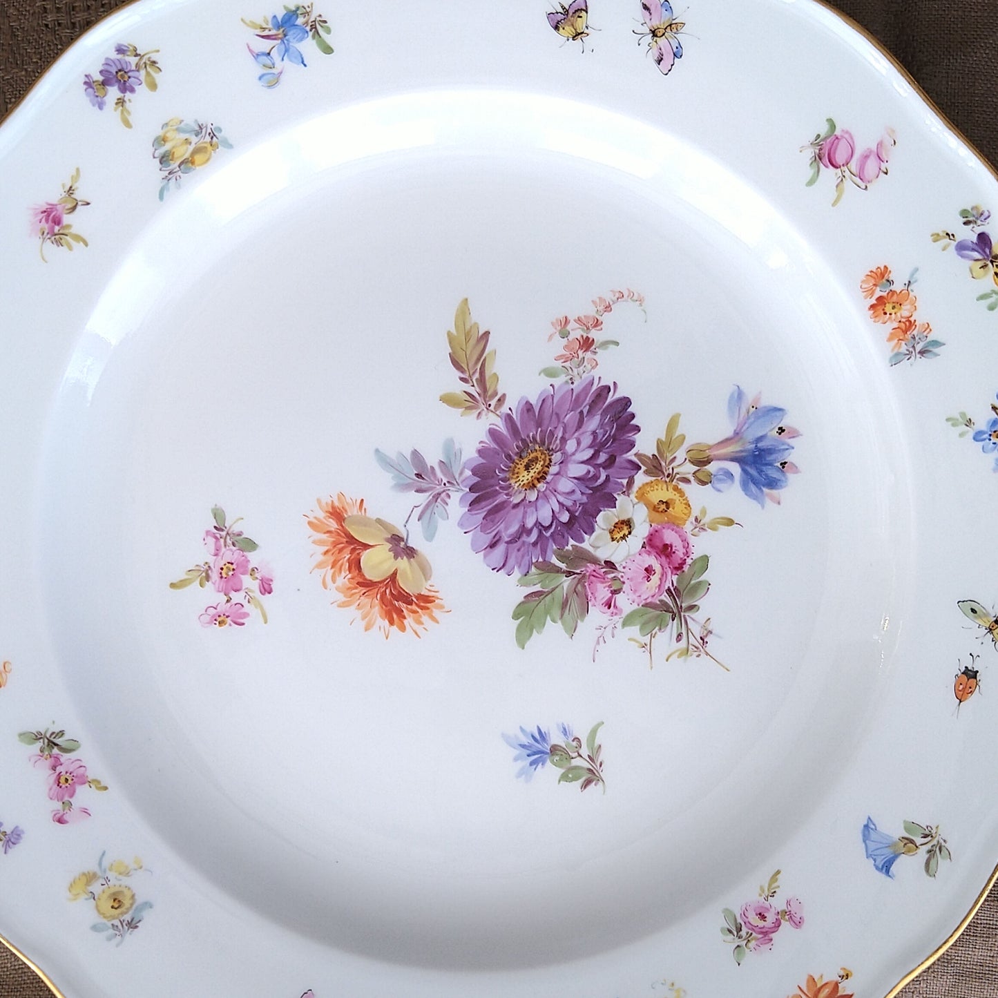 1860～1924年Meissen花と昆虫の絵 ディナープレート24㎝Dアスター/Dinnar plate