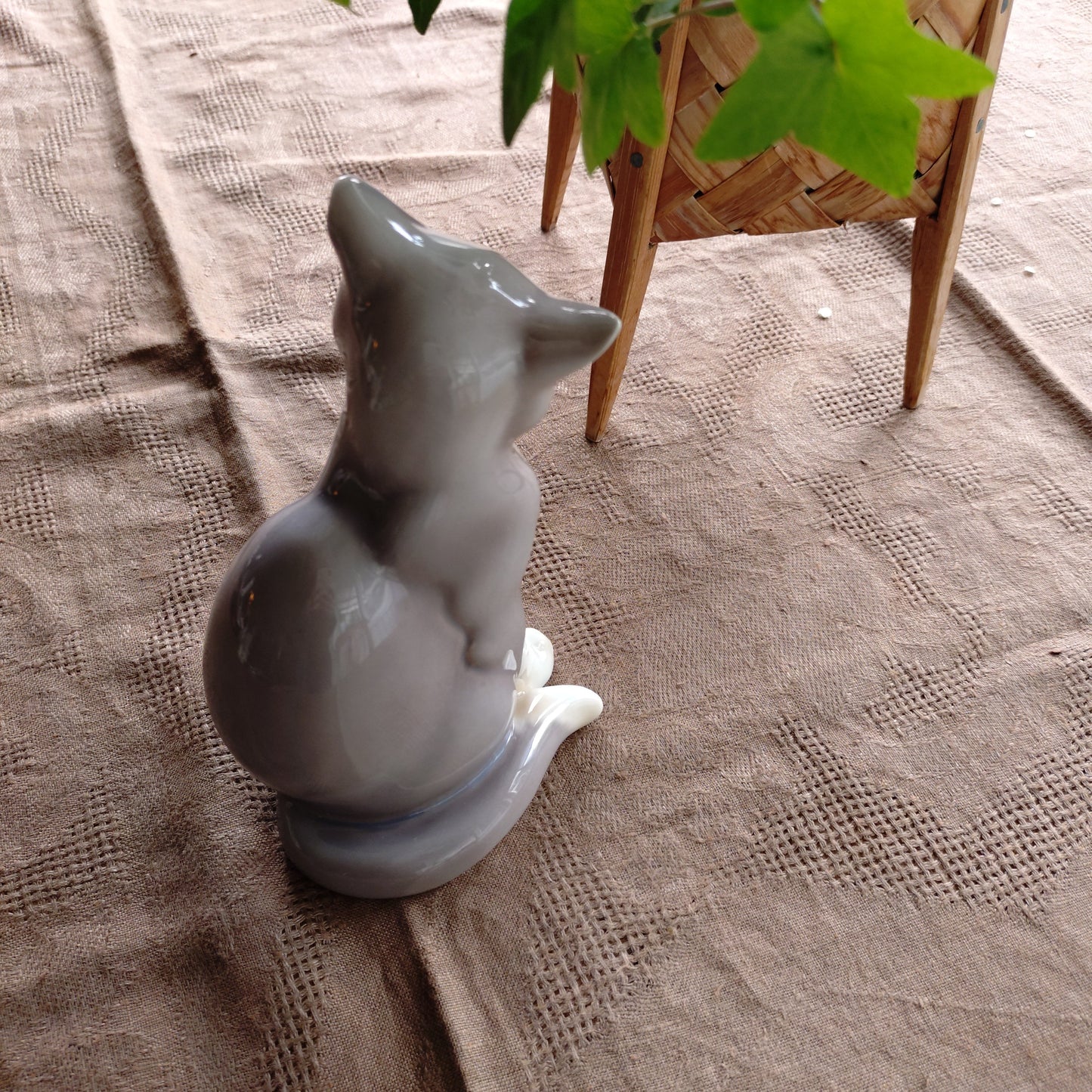 BingGrondahl 灰色貓🐈高約 19 公分，重約 460 公克