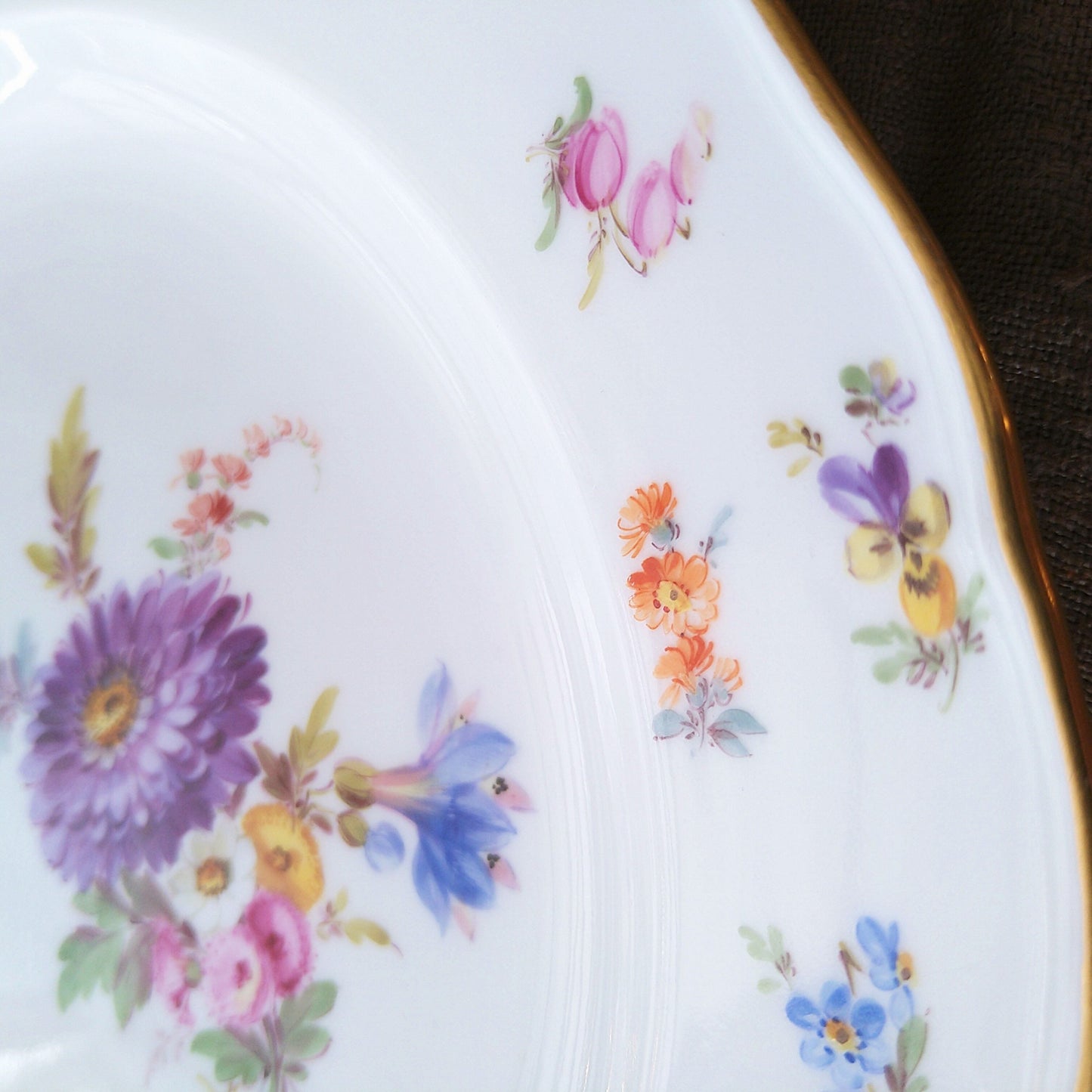 1860～1924年Meissen花と昆虫の絵 ディナープレート24㎝Dアスター/Dinnar plate