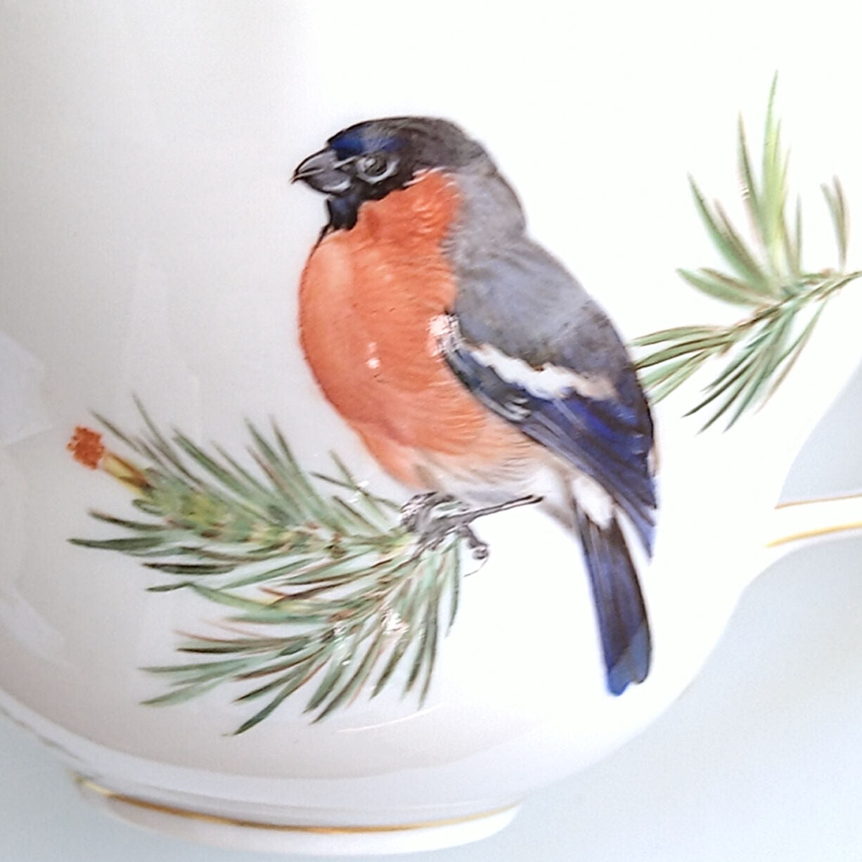 Meissenマイセン1970年頃ドイツの鳥のそんなのウソ！！のコーヒーカップソーサー