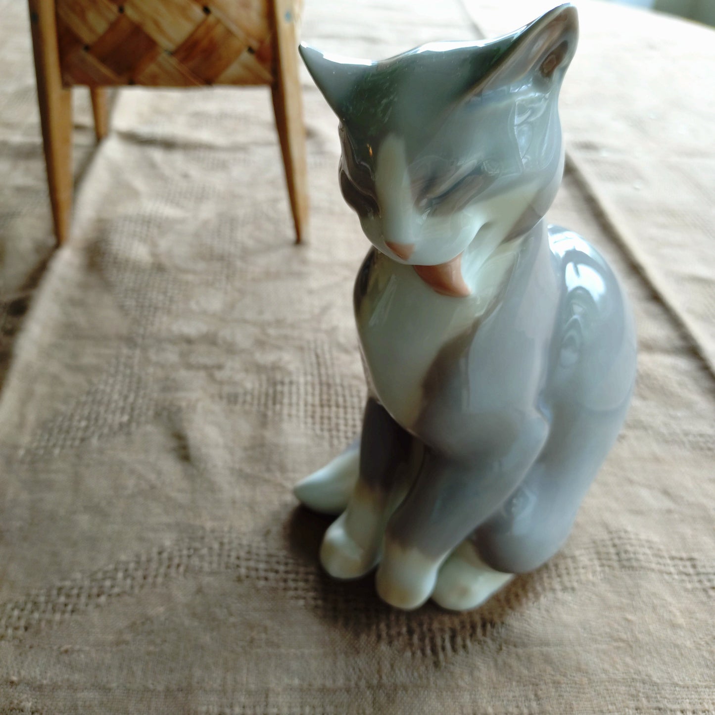 BingGrondahl 灰色貓🐈高約 19 公分，重約 460 公克