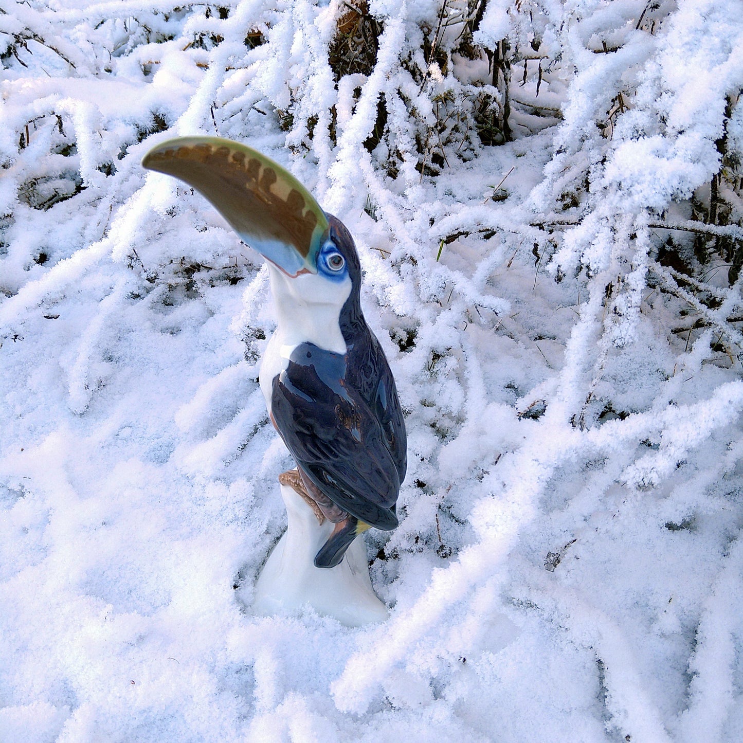 Circa 1909-1920 Meissen Toucan (model by Paul Walther) / Jugendstil / Height approx. 30.5 cm