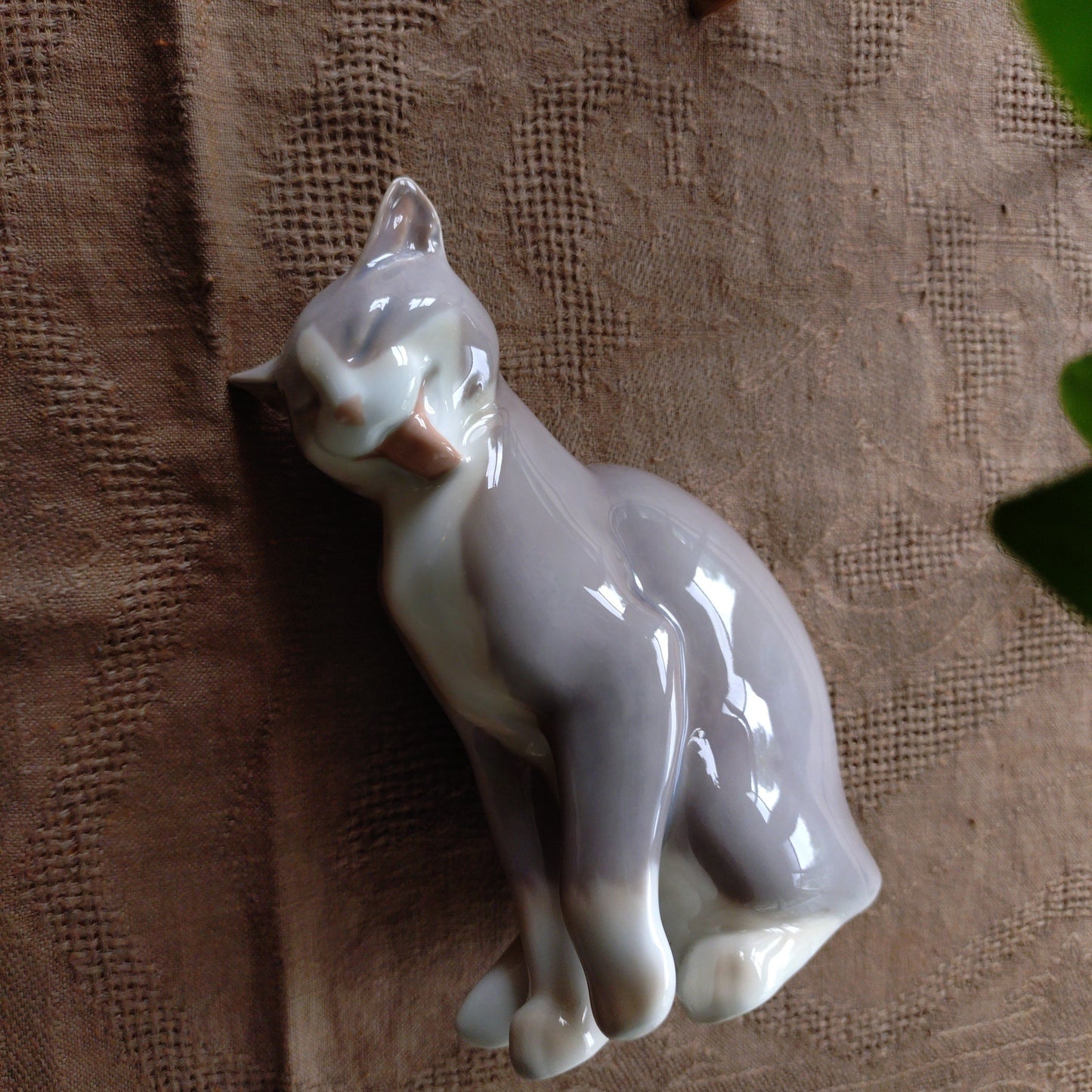 BingGrondahl 灰色貓🐈高約 19 公分，重約 460 公克