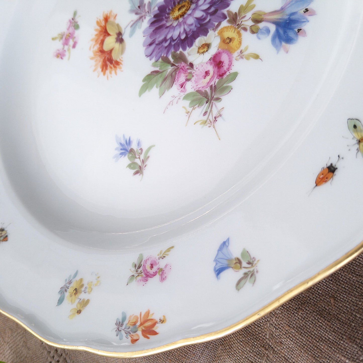 1860～1924年Meissen花と昆虫の絵 ディナープレート24㎝Dアスター/Dinnar plate