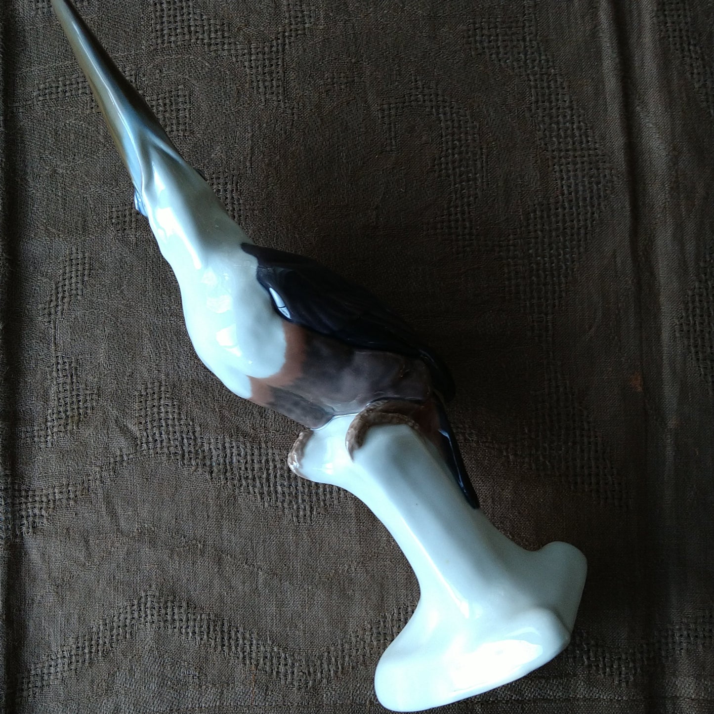 Circa 1909-1920 Meissen Toucan (model by Paul Walther) / Jugendstil / Height approx. 30.5 cm