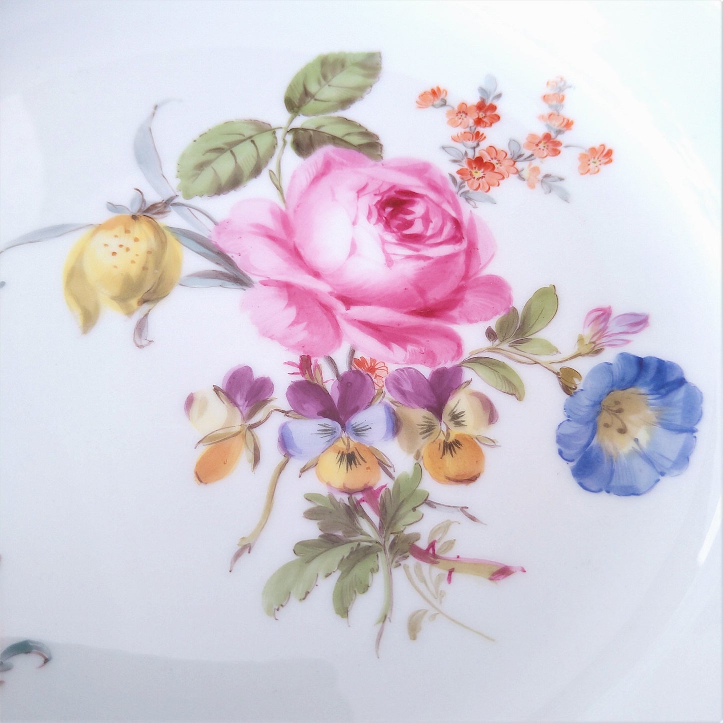 1860～1924年Meissen花と昆虫の絵のスープ深皿23.5㎝ピンクのバラ/Soup Plate23.5cm D
