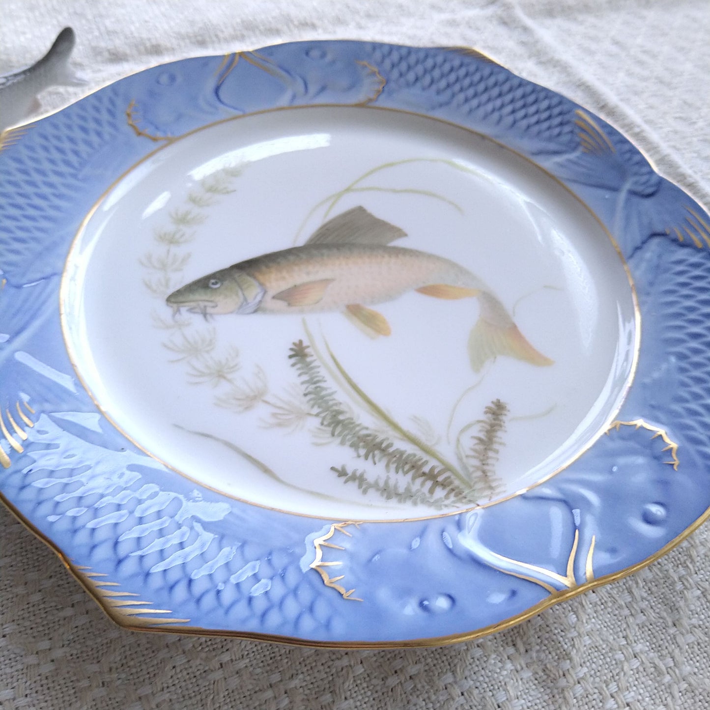 1924～1934年RoyalCopenhagenコイ亜科淡水魚バーベル🐟さかなのお皿は大きさ約22.5㎝L×22.5㎝Wです。