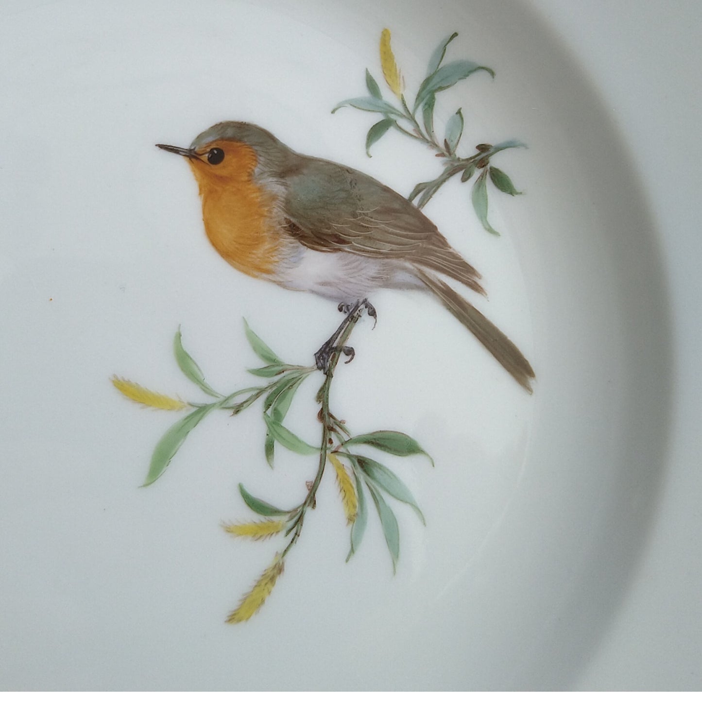 Meissenマイセン1957～1972年ドイツの鳥ヨーロッパコマドリのケーキプレート18㎝D