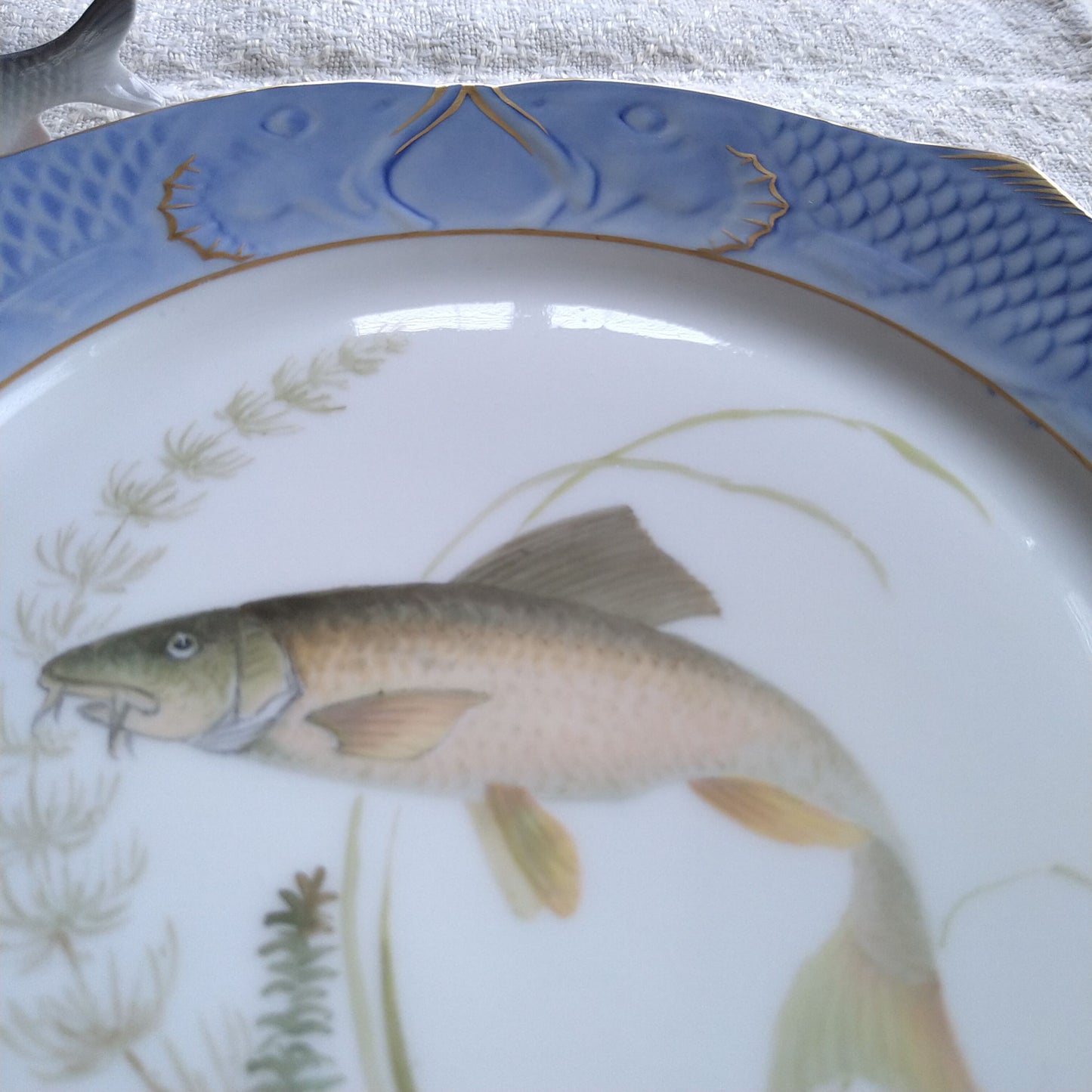 1924～1934年RoyalCopenhagenコイ亜科淡水魚バーベル🐟さかなのお皿は大きさ約22.5㎝L×22.5㎝Wです。