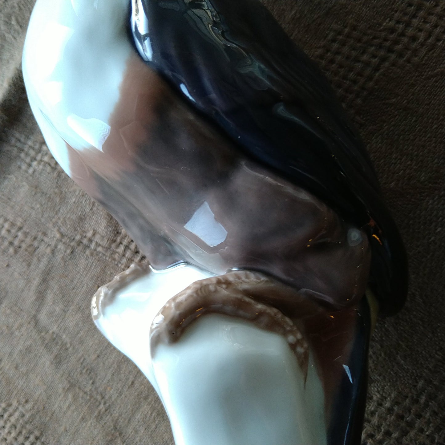Circa 1909-1920 Meissen Toucan (model by Paul Walther) / Jugendstil / Height approx. 30.5 cm