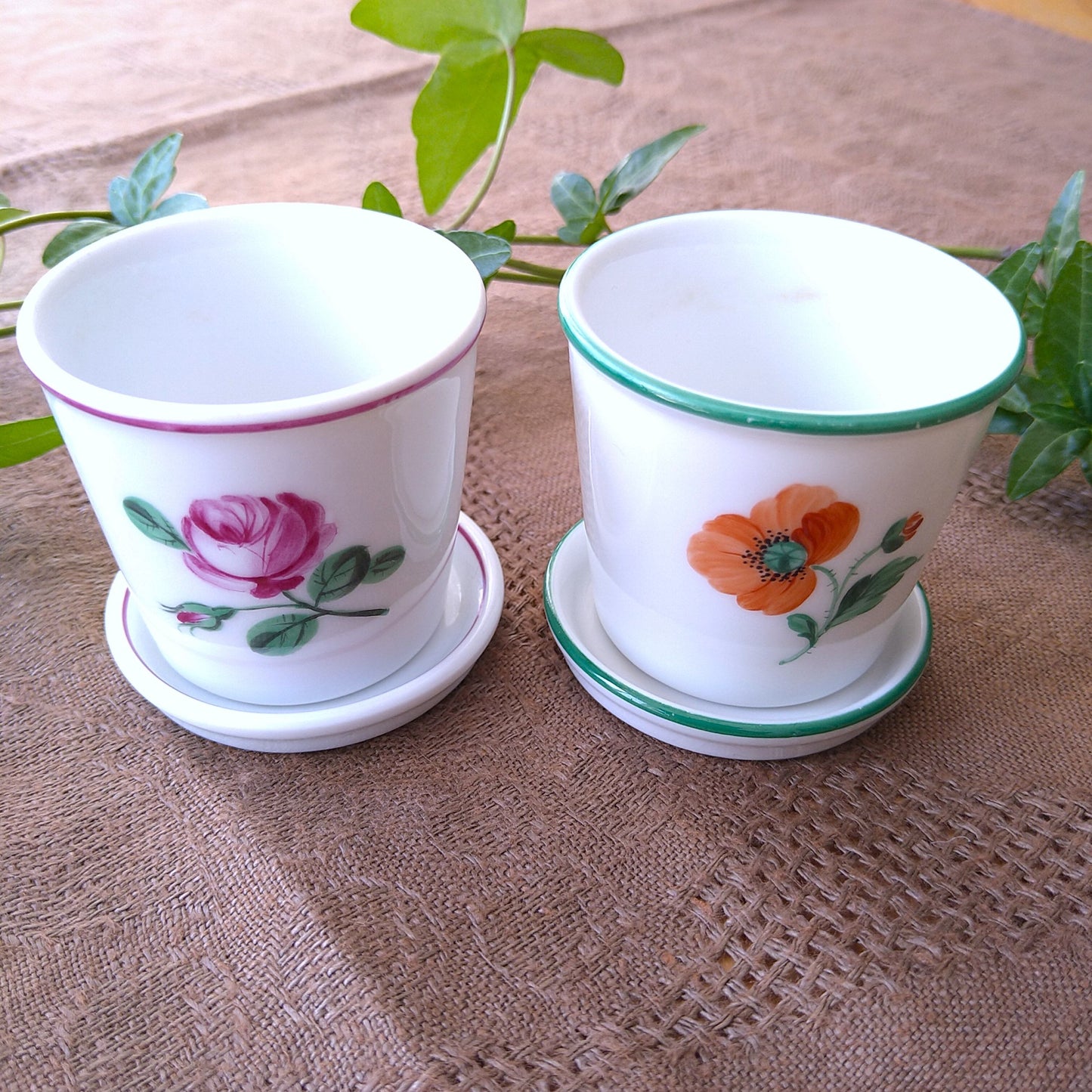 Augartenアウガルテンのオールドウィンナーローズ🌹のティーサーヴィスの色々
