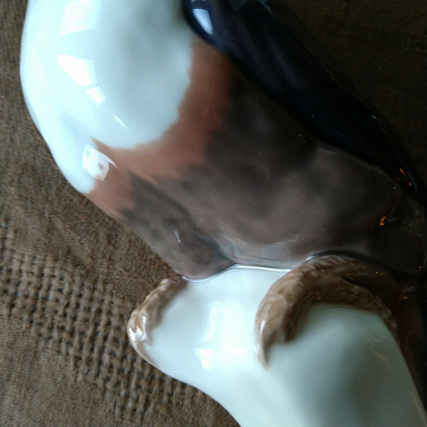 Circa 1909-1920 Meissen Toucan (model by Paul Walther) / Jugendstil / Height approx. 30.5 cm