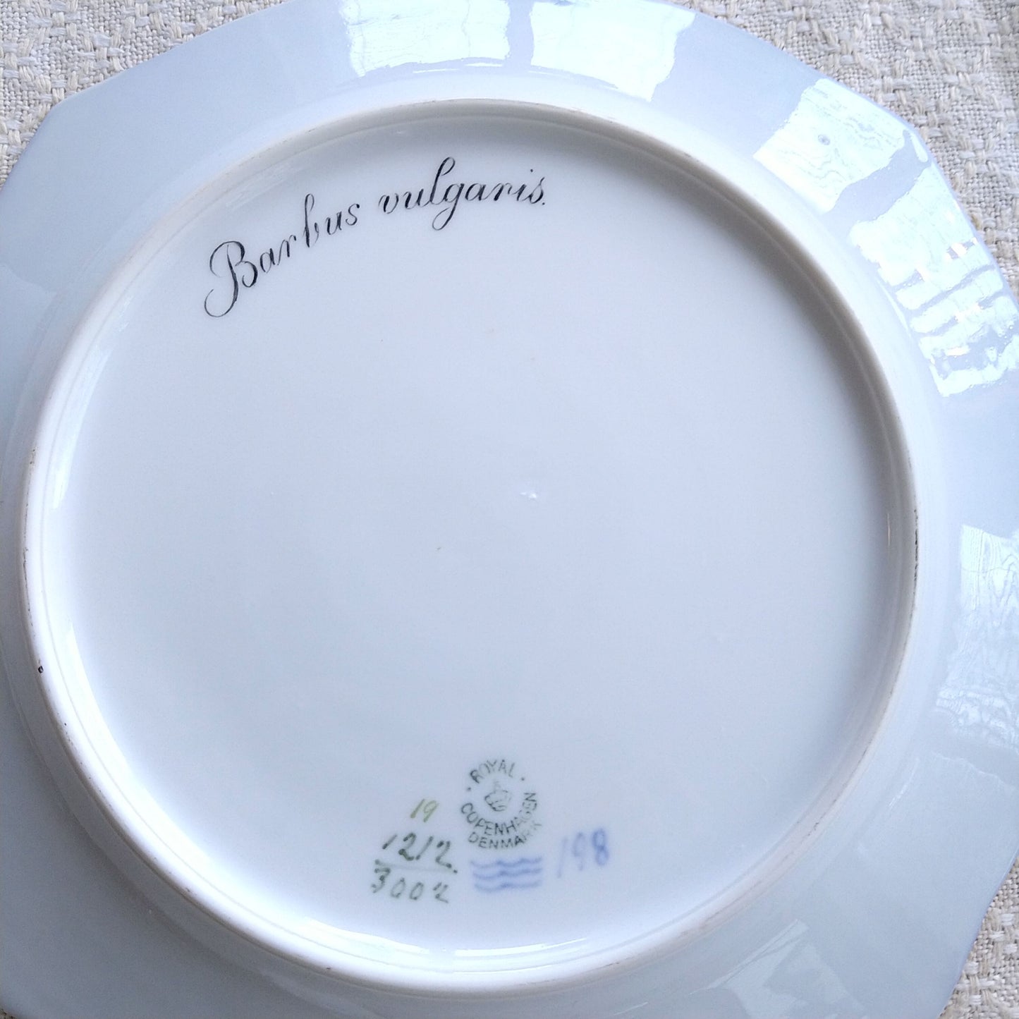 1924～1934年RoyalCopenhagenコイ亜科淡水魚バーベル🐟さかなのお皿は大きさ約22.5㎝L×22.5㎝Wです。