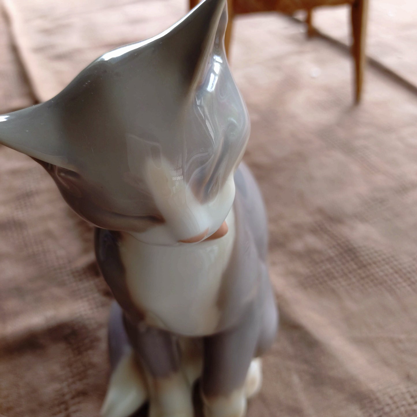 BingGrondahl 灰色貓🐈高約 19 公分，重約 460 公克