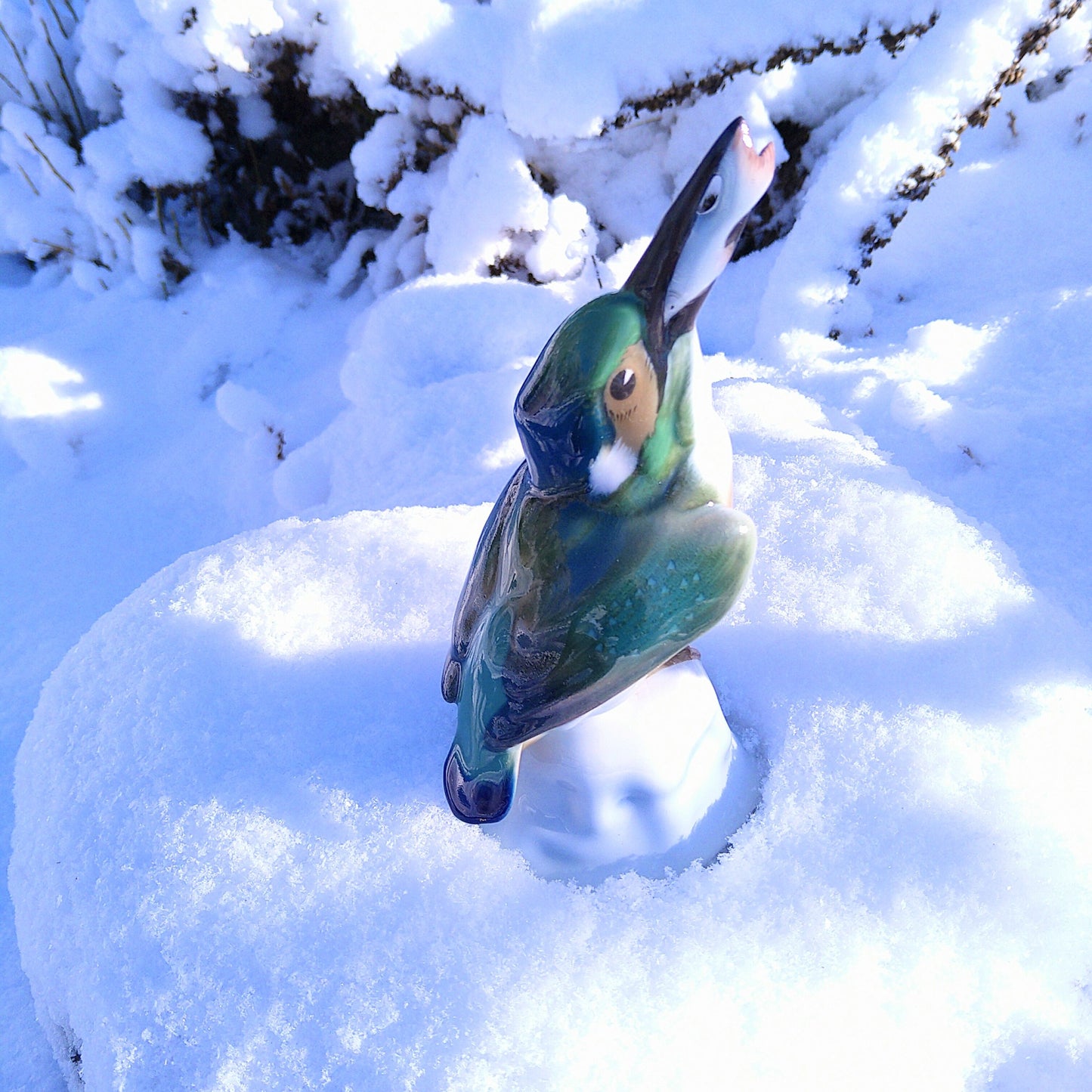 KPMベルリンの魚をくわえたカワセミ高さ約19㎝H/KPM Kingfisher with a fish