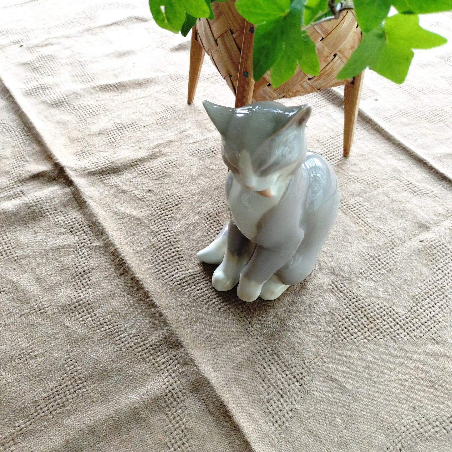 BingGrondahl 灰色貓🐈高約 19 公分，重約 460 公克