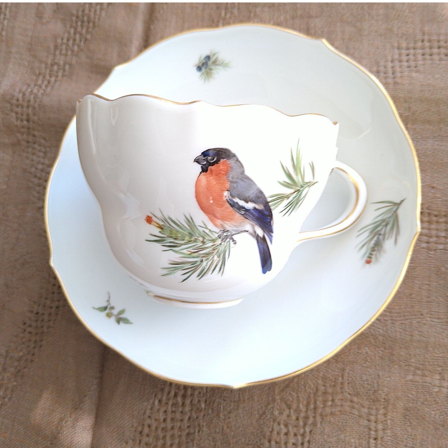 Meissenマイセン1970年頃ドイツの鳥のそんなのウソ！！のコーヒーカップソーサー