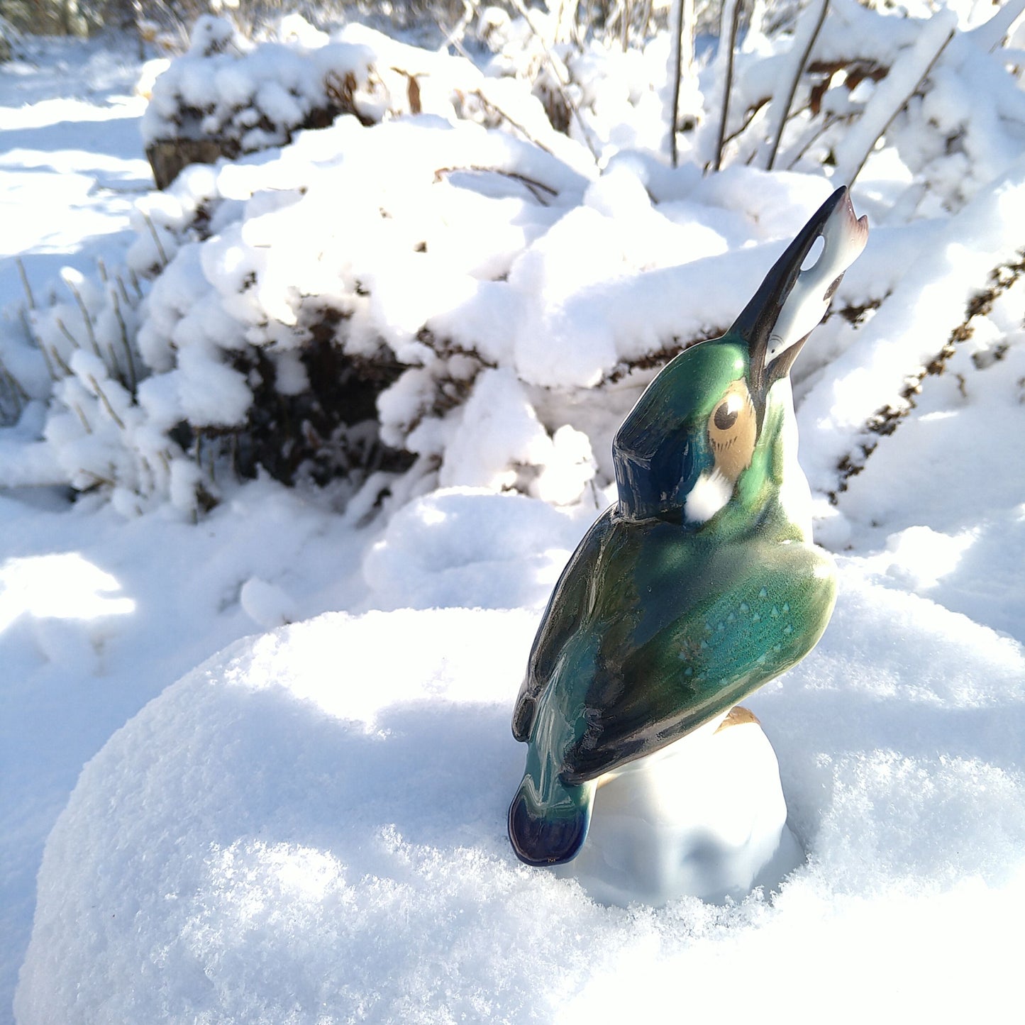 KPMベルリンの魚をくわえたカワセミ高さ約19㎝H/KPM Kingfisher with a fish