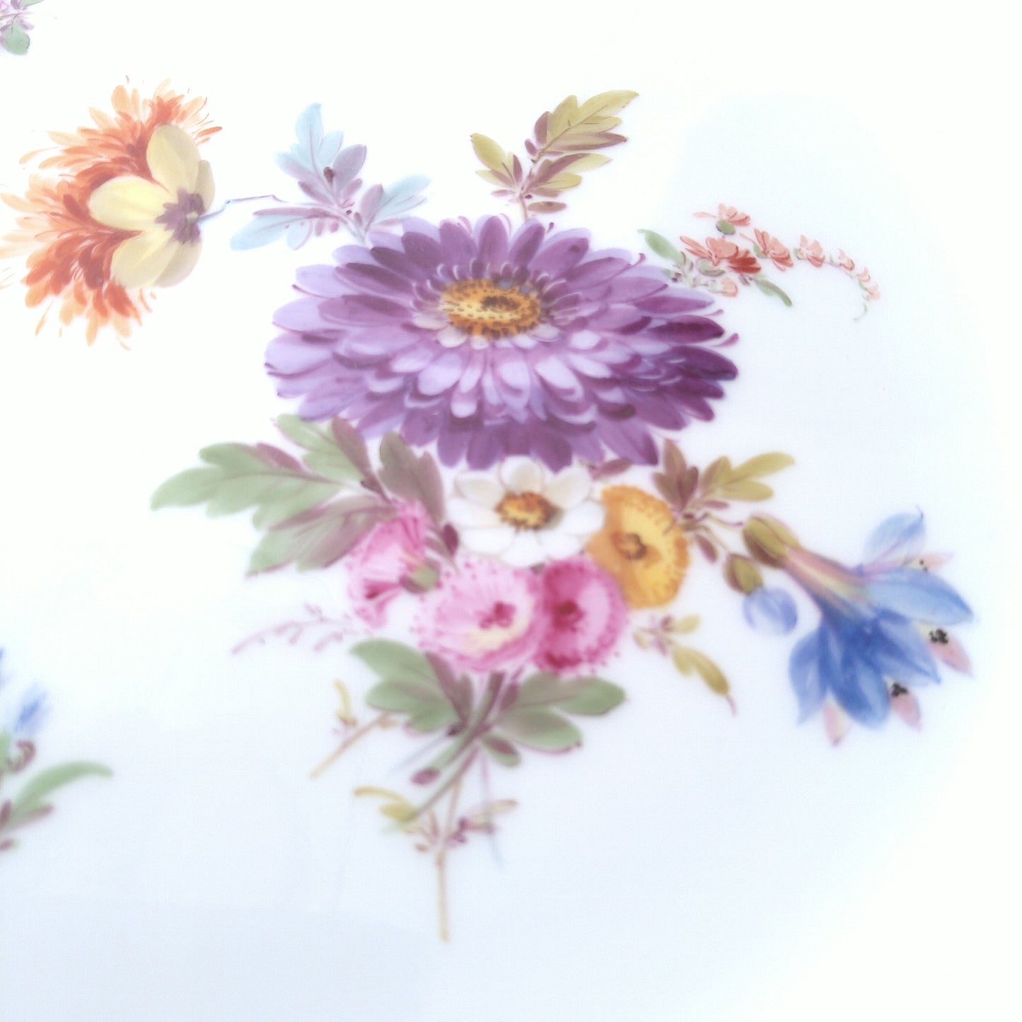 1860～1924年Meissen花と昆虫の絵 ディナープレート24㎝Dアスター/Dinnar plate