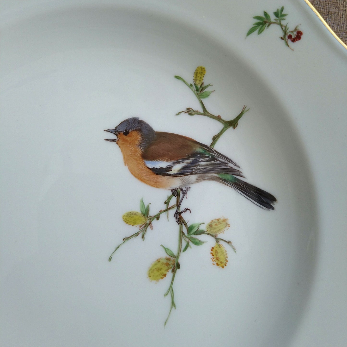 Meissenマイセン1957～1972年のドイツの鳥ズアオアトリのケーキプレート18㎝D